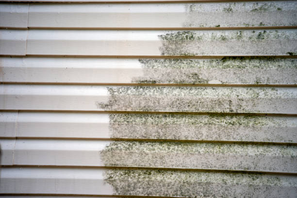 Best Aluminum Siding Installation  in Leisure Village West, NJ