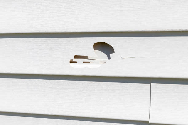 Best Stucco Siding  in Leisure Village West, NJ